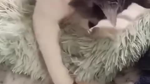 A real Mather really love their children