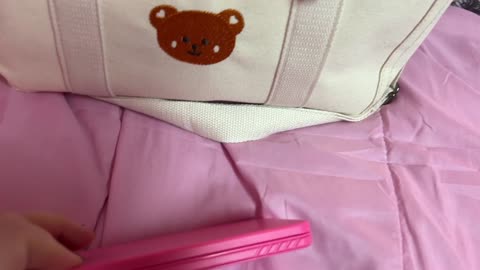 What fits in my Temu Bear Tote. Lots of Pockets!