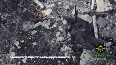 Firm extraction from pork from Stepnogorsk