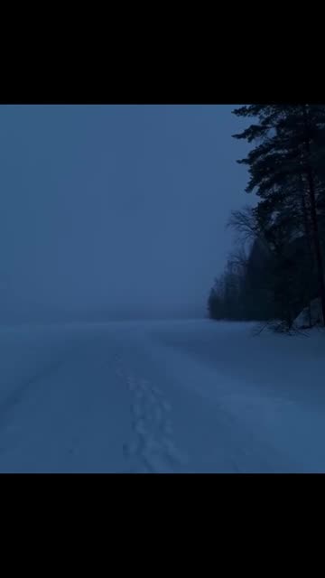 WINTER LINKS 👇This involves READING