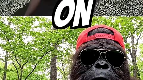 Try Not to Laugh Challenge 85 🤣 #shorts