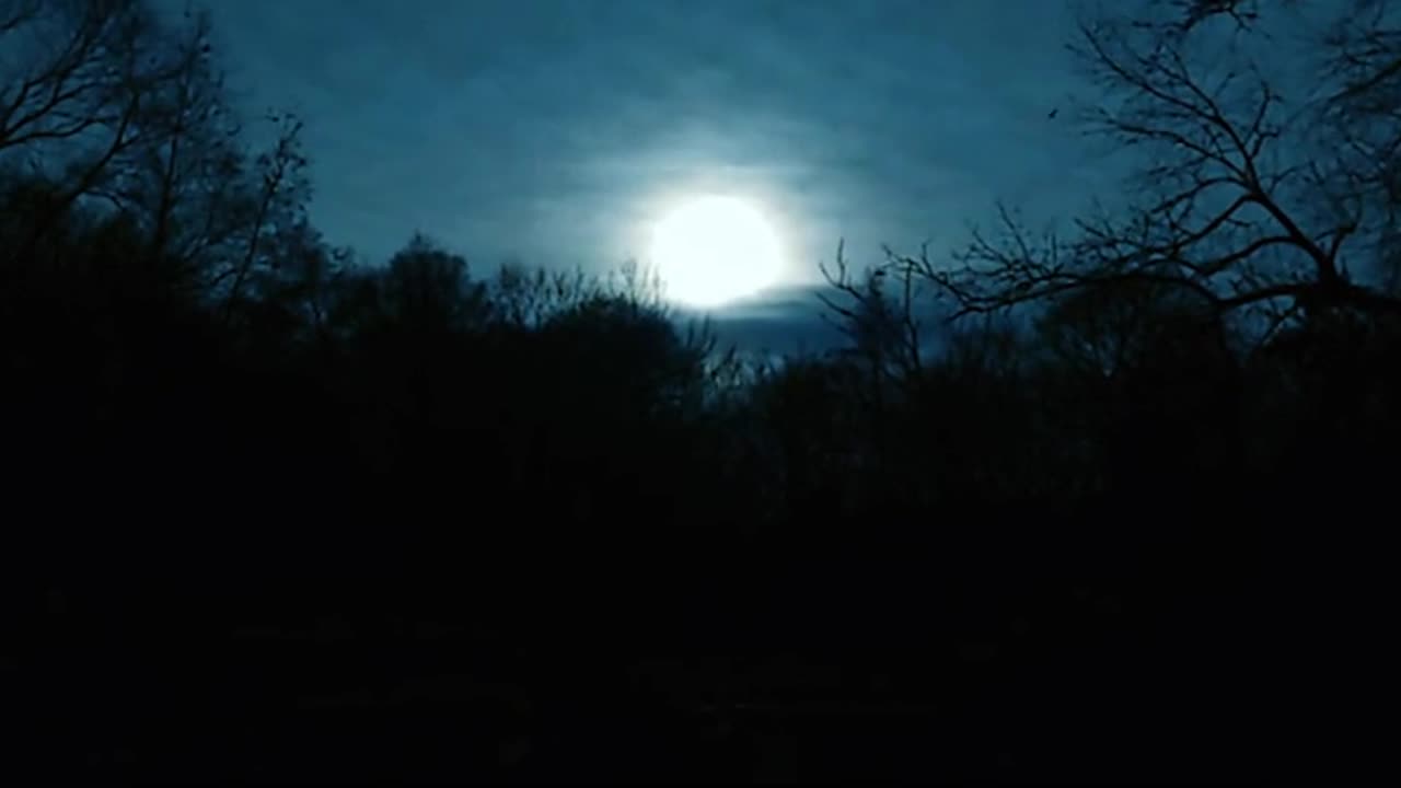 Daily Horoscope | Leo 🌟