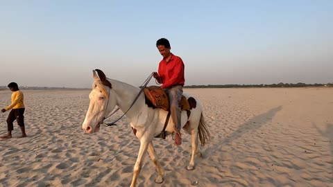 Horse Riding In Varanasi