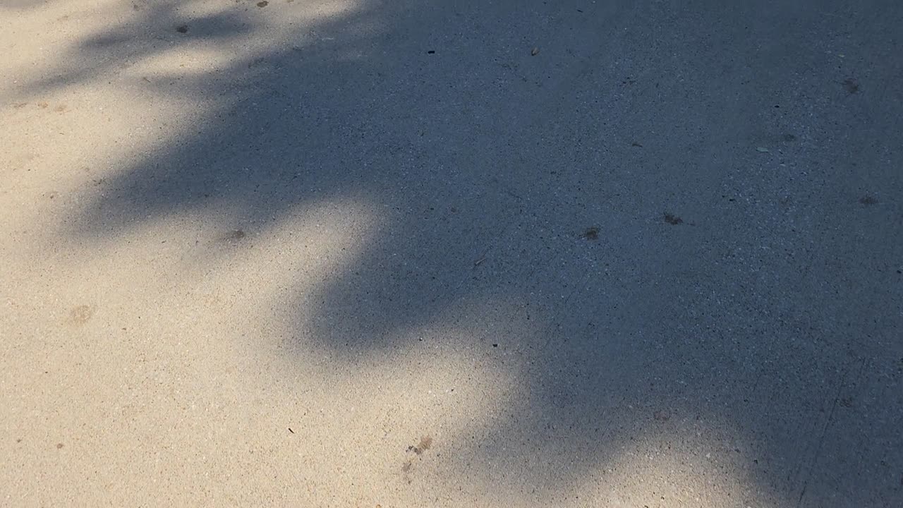 POLICE ACTIVITY #cops #police #lawenforcement