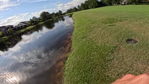 🎣 Topwater ONLY Day of Pond Fishing! (HUGE Fish Catches) | Explosive Strikes & Epic Action 🐟💥