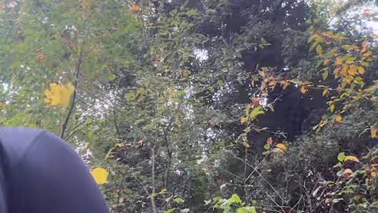 Crazy Sexy Cool pulls up with grip to save 21 but 21 don't want to be bothered