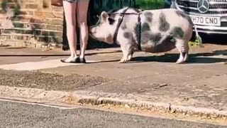 In London, women go out like this to stay safe.