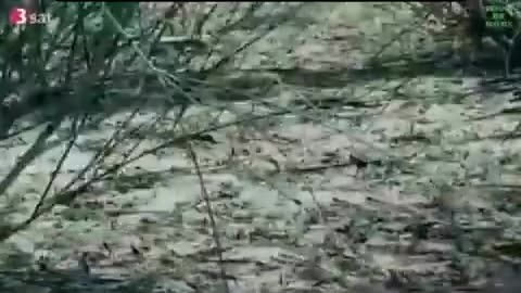 3Sat vor 15 Jahren über Klimawandel 😳🤷‍♂️