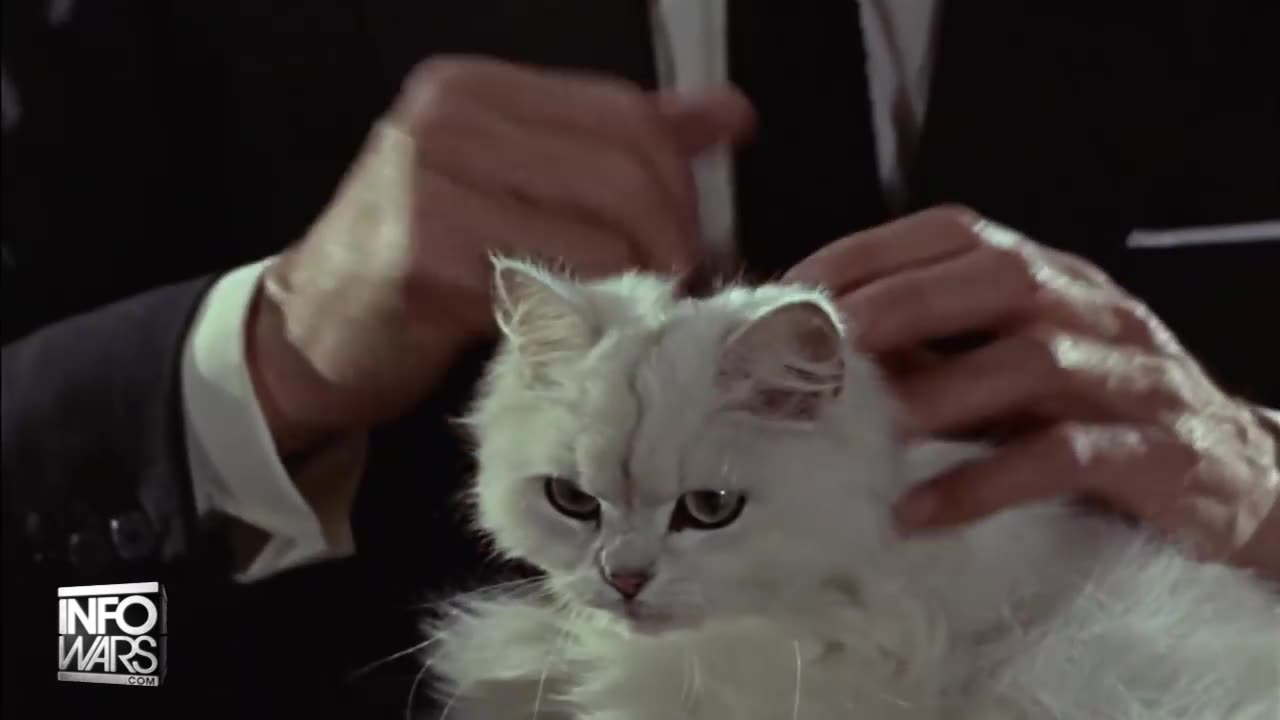 BOMBSHELL TUESDAY BROADCAST