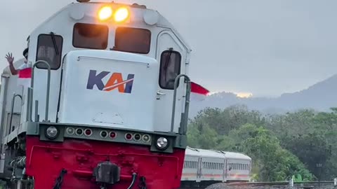 "Bullet Train Passing at Full Speed – Feel the Rush!"