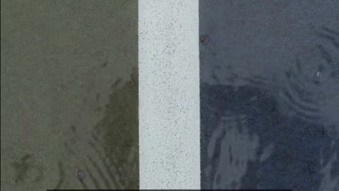 Daily Horoscope | Virgo 🌟