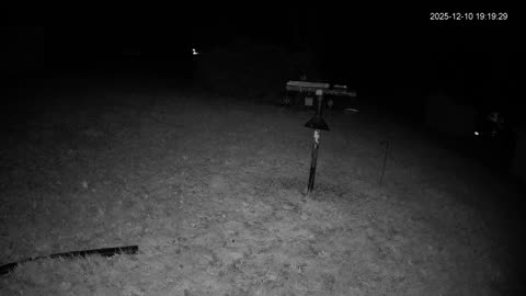 Bird Feeder in Western Maryland USA