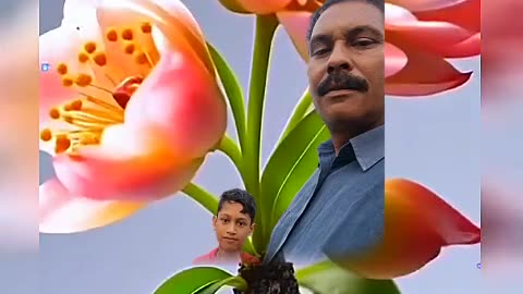 Very good life video like share comment and sports