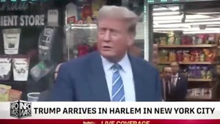 The Alex Jones Shows, LIVE !