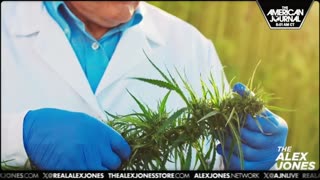 The Alex Jones Shows, LIVE !