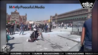 The Alex Jones Shows, LIVE !