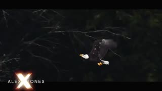 The Alex Jones Shows, LIVE !