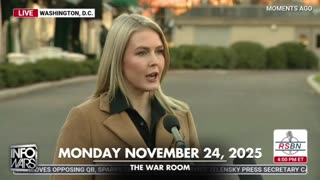 The Alex Jones Shows, LIVE !