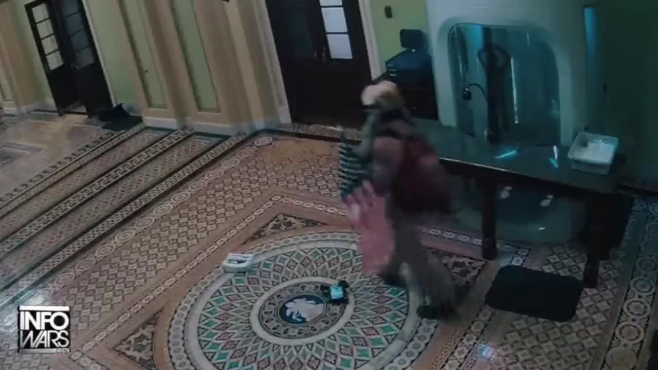 The Alex Jones Shows, LIVE !