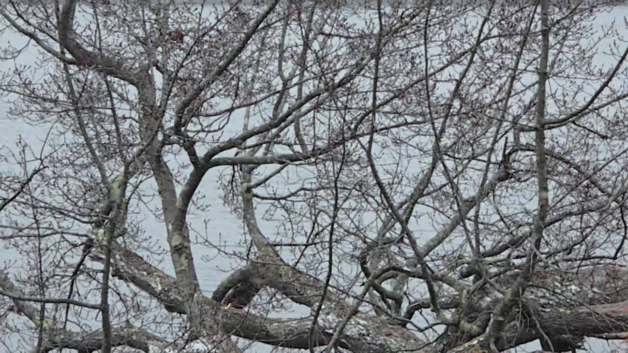 Slow motion snowing part 2