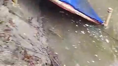 Fishing video
