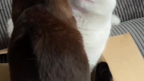 Love is in the air 😍