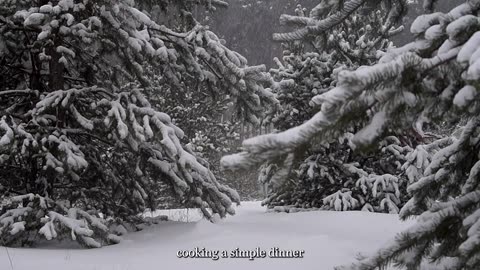 👻❄️ The Stranger in the Snow… A Christmas Horror Story 🎄