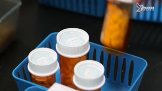 Pioneer Channel LIVE