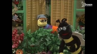 Pioneer Channel LIVE