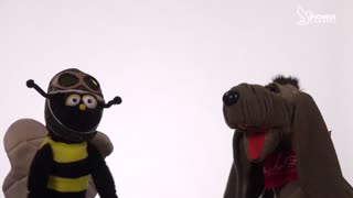 Pioneer Channel LIVE