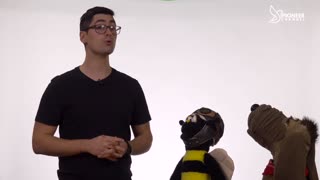 Pioneer Channel LIVE