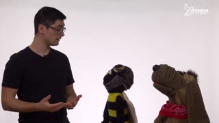 Pioneer Channel LIVE