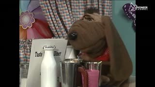 Pioneer Channel LIVE