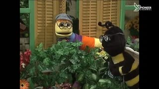 Pioneer Channel LIVE