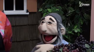 Pioneer Channel LIVE