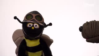 Pioneer Channel LIVE