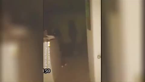 😱💀 Terrifying Poltergeist Activity | TheHauntingHour