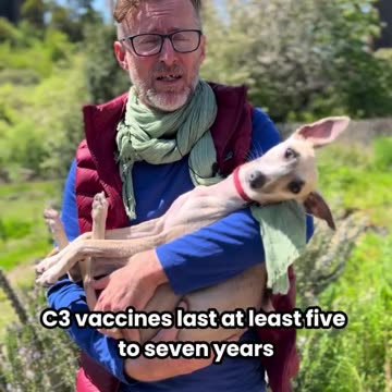 Vaccination is one of the Biggest Causes of Chronic Illnesses in our Pets