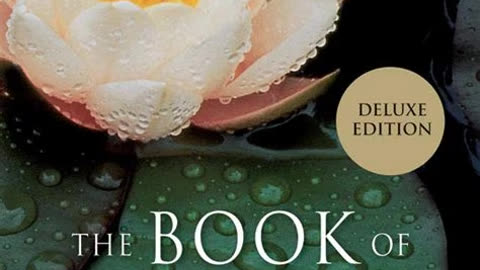 The Book of Awakening by Mark Nepo | Summary