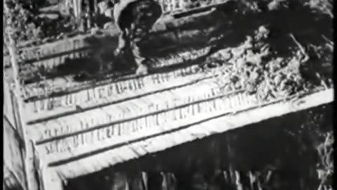 German Newsreel 670 - July 7, 1943