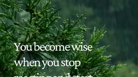 The moment you stop reacting, your power multiplies