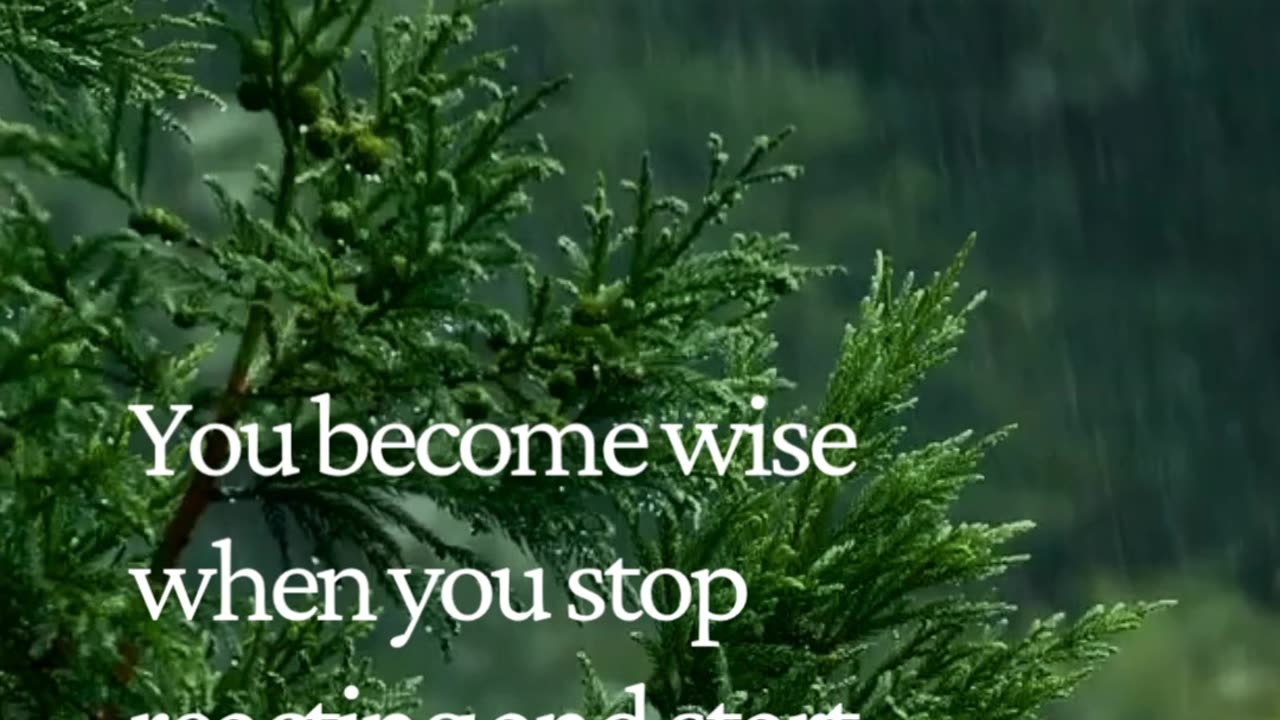 The moment you stop reacting, your power multiplies