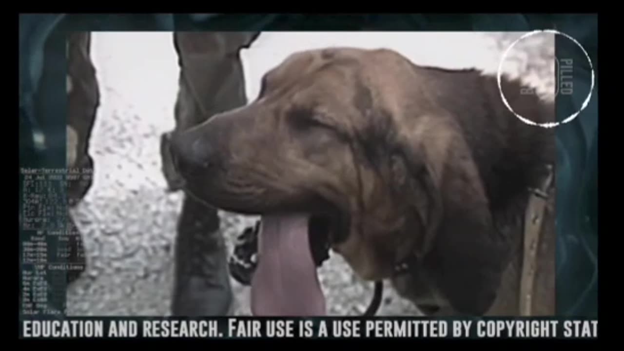 Insomnia Steam: PatCon Edition pt1 (clip)