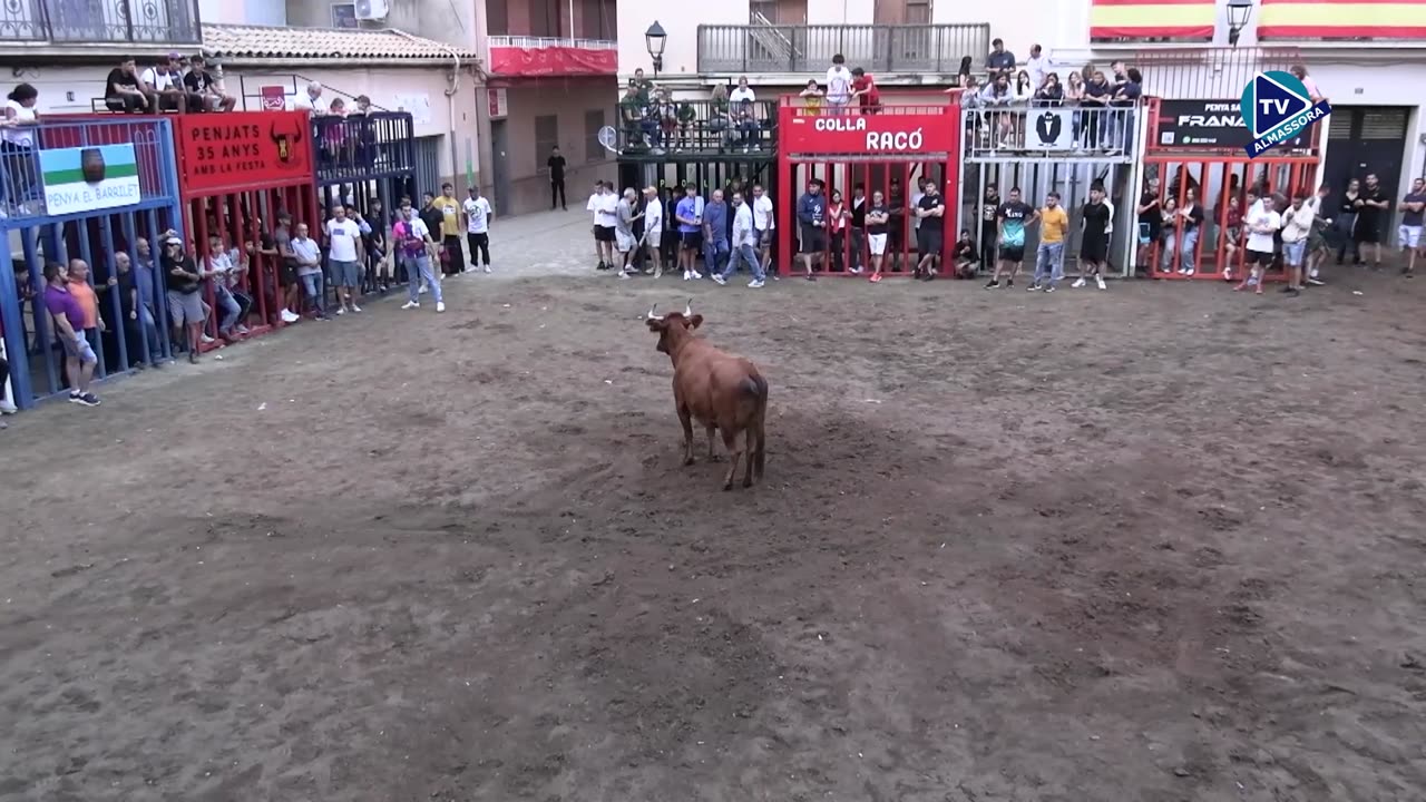 VACAS TARDE 8oct FESTES DEL ROSER 2025