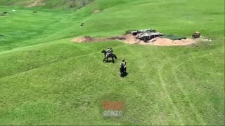 🐴 The Russians are seriously discussing the appearance of horses on the front…