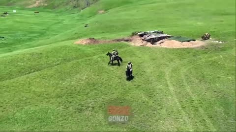 🐴 The Russians are seriously discussing the appearance of horses on the front…
