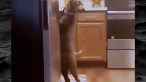 👻⚠️ Paranormal Activity Caught on Camera—Watch Closely! | TheHauntingHour