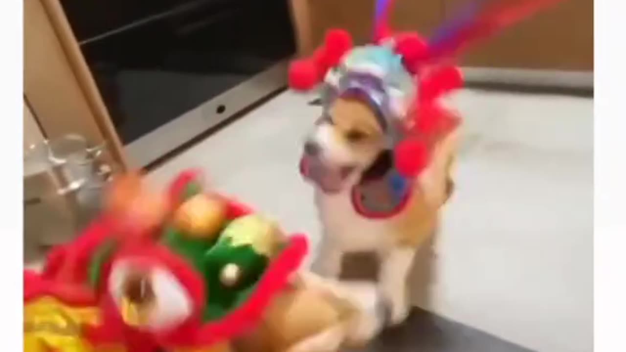 Beatbox like a pro