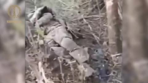 Ukraine war combat footage 10/23/25