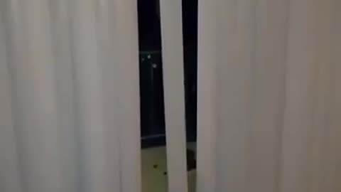 😱👻 This Will Give You Nightmares! Swinging Blind | TheHauntingHour